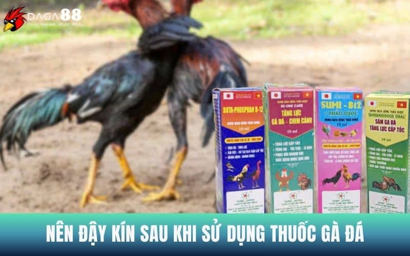 Nên đậy kín thuốc gà đá sau khi sử dụng xong Nên đậy kín thuốc gà đá sau khi sử dụng xong
