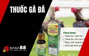 Thuốc Gà Đá
