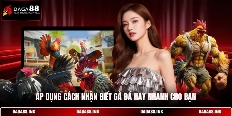 Áp dụng cách nhận biết gà đá hay nhanh cho bạn