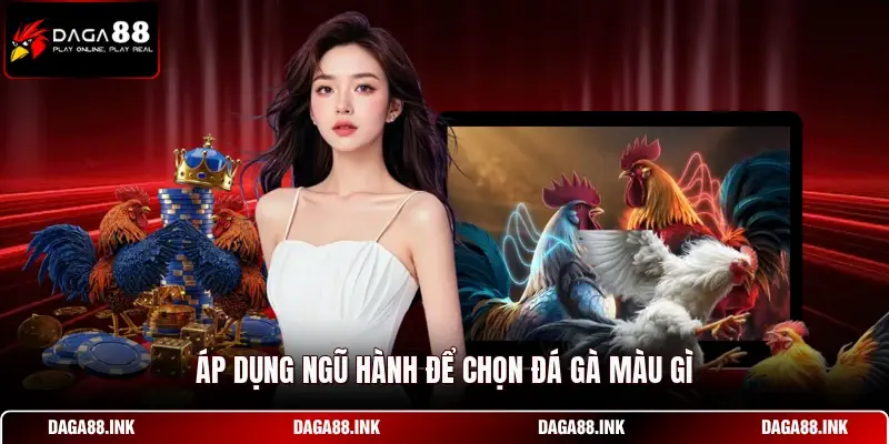 Áp dụng ngũ hành để chọn đá gà màu gì Áp dụng ngũ hành để chọn đá gà màu gì