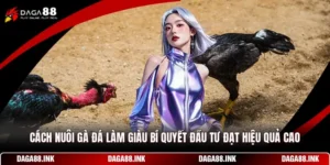 Cách Nuôi Gà Đá Làm Giàu - Bí Quyết Đầu Tư Đạt Hiệu Quả Cao