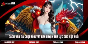 Cách Vần Gà Chọi - Bí Quyết Rèn Luyện Thể Lực Cho Vật Nuôi