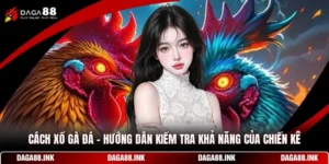 Cách Xổ Gà Đá - Hướng Dẫn Kiểm Tra Khả Năng Của Chiến Kê