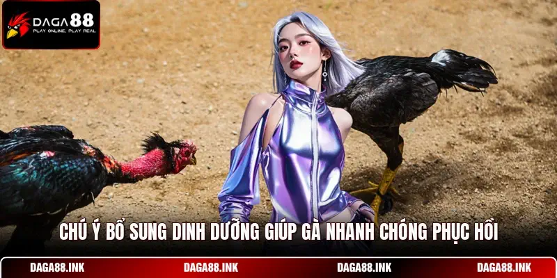 Chú ý bổ sung dinh dưỡng giúp gà nhanh chóng phục hồi