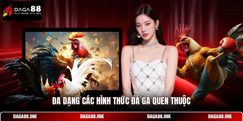 Đa dạng các hình thức đá gà quen thuộc Đa dạng các hình thức đá gà quen thuộc