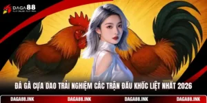 Đá Gà Cựa Dao - Trải Nghiệm Các Trận Đấu Khốc Liệt Nhất 2026