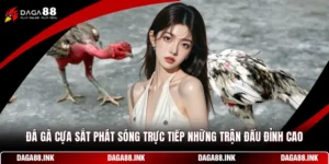 Đá Gà Cựa Sắt - Phát Sóng Trực Tiếp Những Trận Đấu Đỉnh Cao