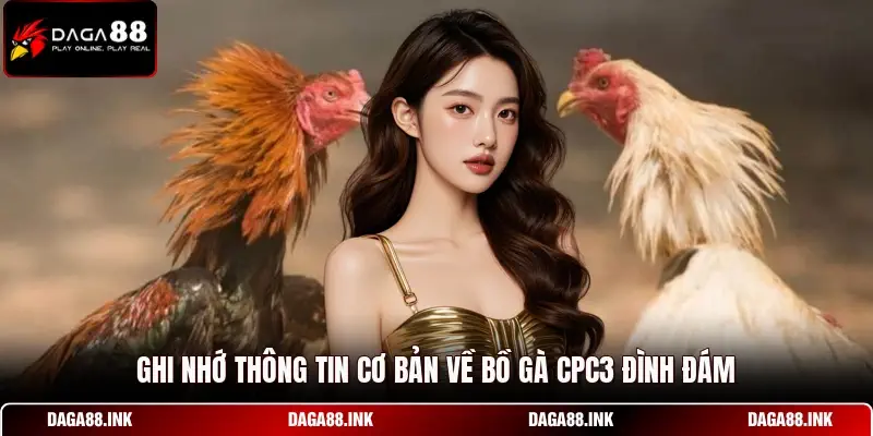 Ghi nhớ thông tin cơ bản về bồ gà CPC3 đình đám Ghi nhớ thông tin cơ bản về bồ gà CPC3 đình đám