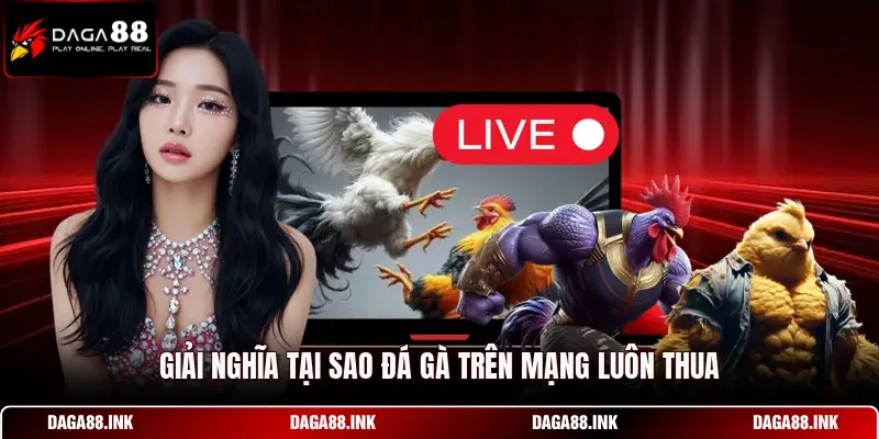 Giải nghĩa tại sao đá gà trên mạng luôn thua
