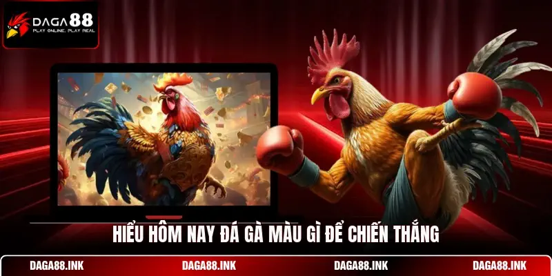 Hiểu hôm nay đá gà màu gì để chiến thắng Hiểu hôm nay đá gà màu gì để chiến thắng