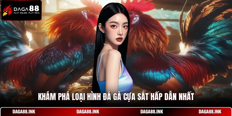 Khám phá loại hình đá gà cựa sắt hấp dẫn nhất