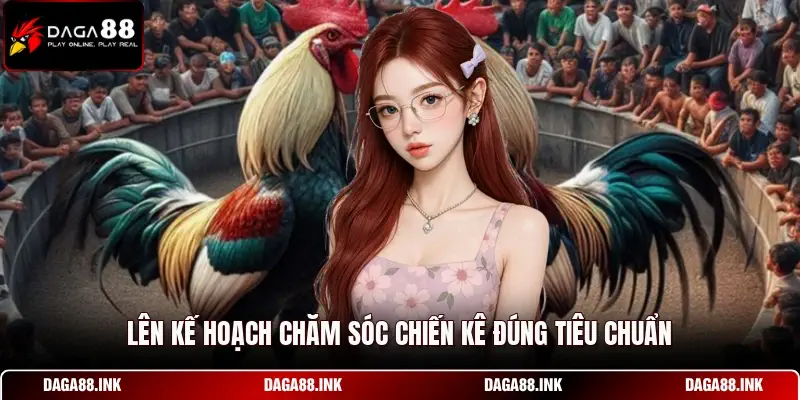 Lên kế hoạch chăm sóc chiến kê đúng tiêu chuẩn 