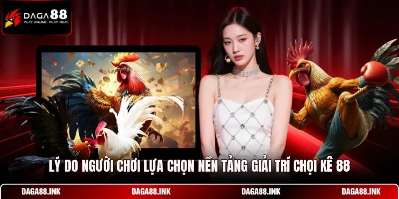 Lý do người chơi lựa chọn nền tảng giải trí chọi kê 88