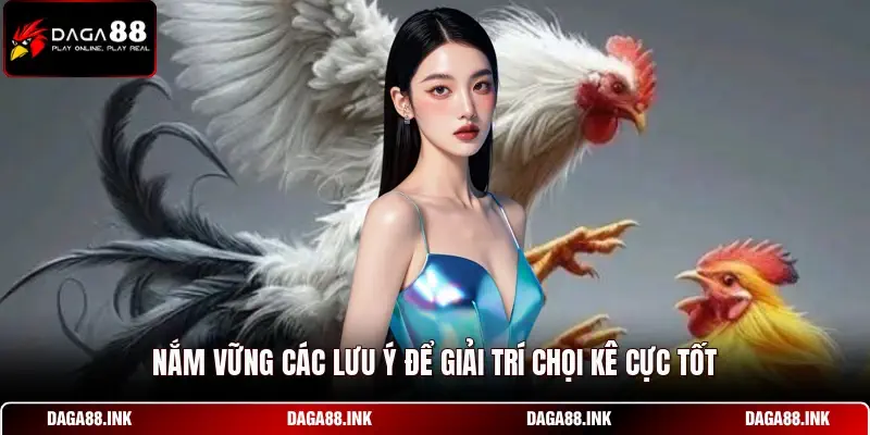 Nắm vững các lưu ý để giải trí chọi kê cực tốt