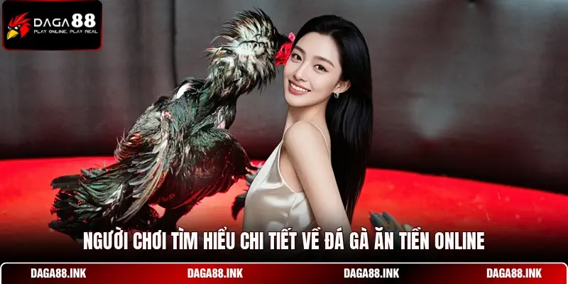 Người chơi tìm hiểu chi tiết về đá gà ăn tiền online Người chơi tìm hiểu chi tiết về đá gà ăn tiền online