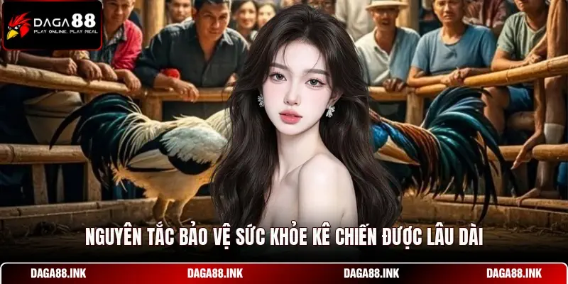 Nguyên tắc bảo vệ sức khỏe kê chiến được lâu dài