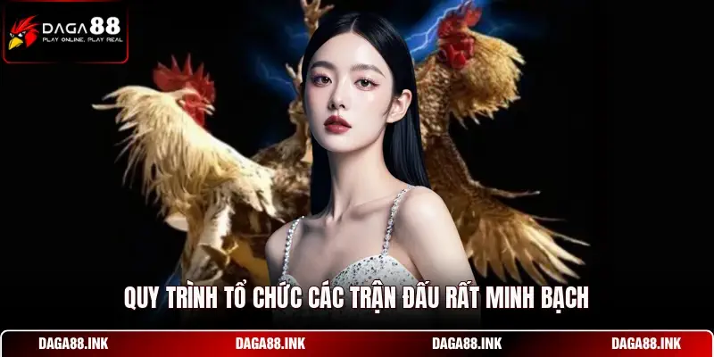 Quy trình tổ chức các trận đấu rất minh bạch