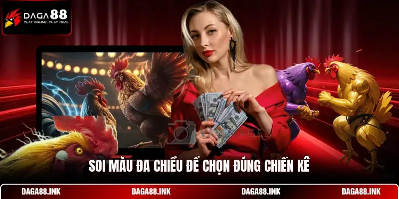 Soi màu đa chiều để chọn đúng chiến kê Soi màu đa chiều để chọn đúng chiến kê