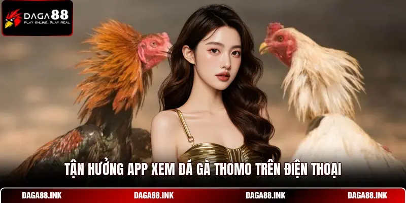 Tận hưởng app xem đá gà thomo trên điện thoại Tận hưởng app xem đá gà thomo trên điện thoại