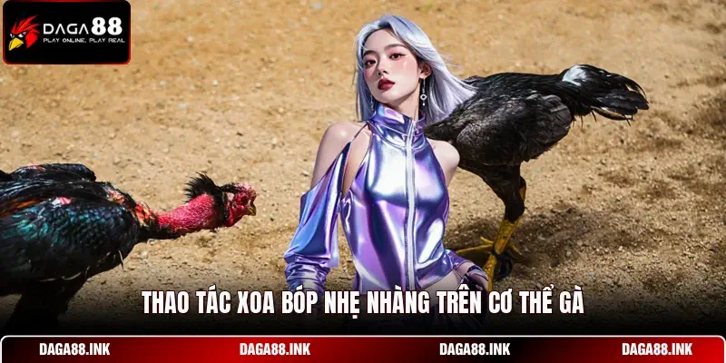 Thao tác xoa bóp nhẹ nhàng trên cơ thể gà Thao tác xoa bóp nhẹ nhàng trên cơ thể gà