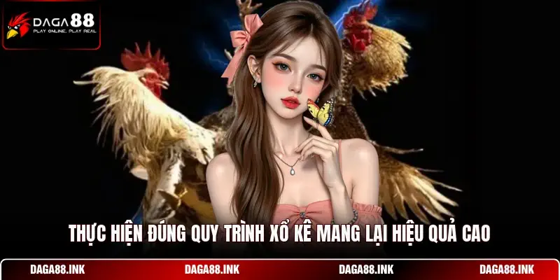Thực hiện đúng quy trình xổ kê mang lại hiệu quả cao