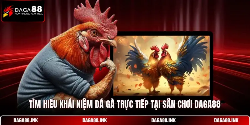 Tìm hiểu khái niệm đá gà trực tiếp tại sân chơi DAGA88