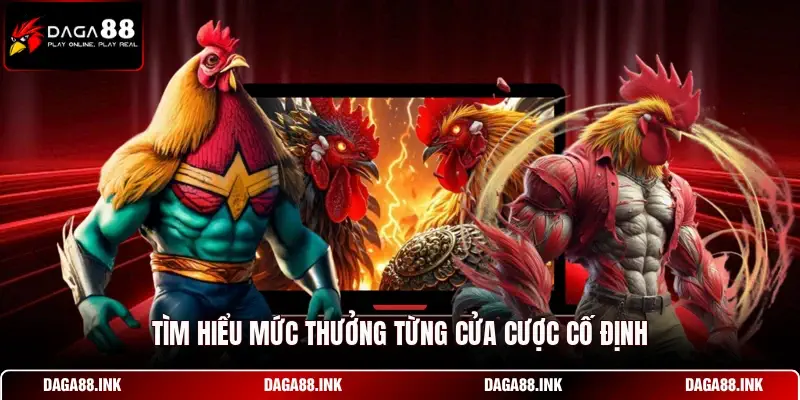 Tìm hiểu mức thưởng từng cửa cược cố định Tìm hiểu mức thưởng từng cửa cược cố định