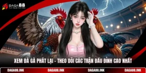 Xem Đá Gà Phát Lại - Theo Dõi Các Trận Đấu Đỉnh Cao Nhất